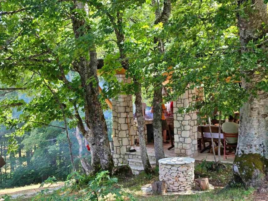 זבליאק Vila Sun Forest מראה חיצוני תמונה